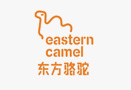 南门东方骆驼